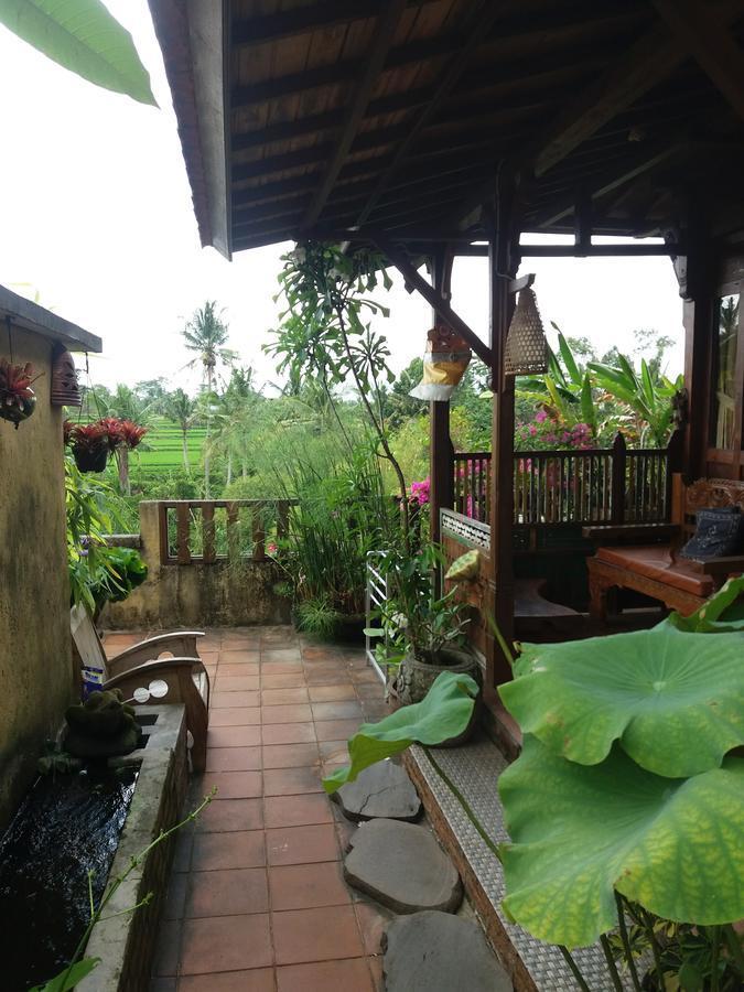 Ogek Home Stay 우붓 외부 사진